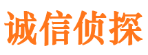 文山侦探公司